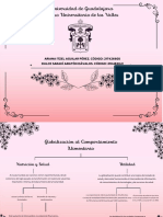 Mapa Globalización