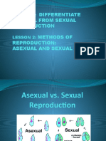 Asexual Vs Sexual Reproduction FEB 8 12
