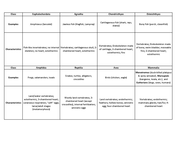 Chordate Classes Chart | PDF | Vertebrates | Fish