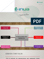 Acepciones Del Derecho