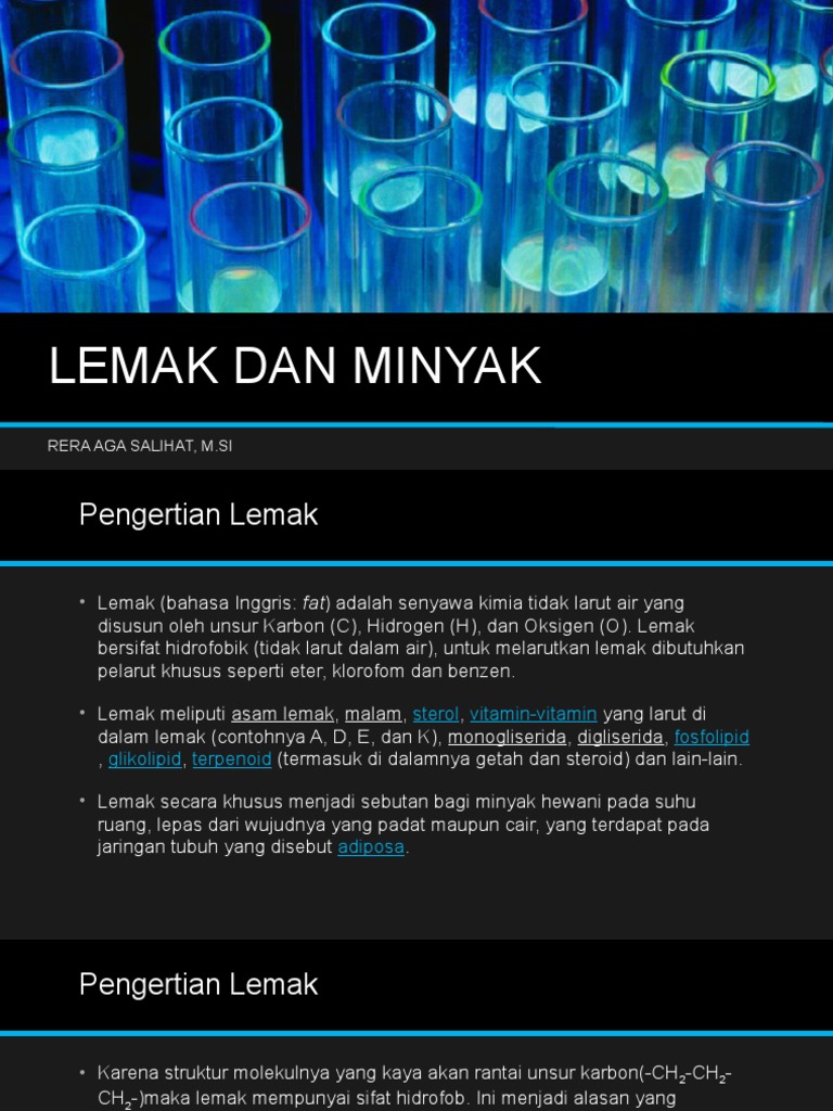3. Lemak Dan Minyak | PDF