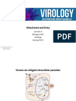 Lecture 5 - Attachment and Entry
