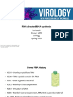 Lecture 6 - Directed RNA Synthesis