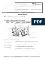 Est Meio-1ºsemestre