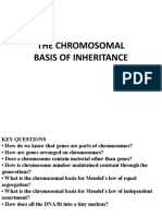 Chapter 3 Mitosis