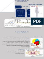 المقطع الثاني