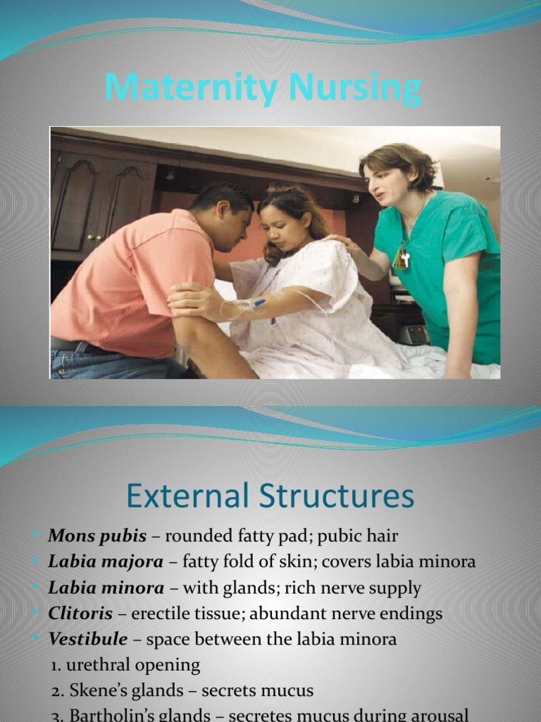 Maternity Nursing PDF Menstrual Cycle Childbirth