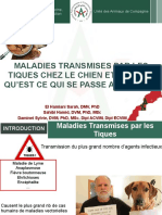 Maladies Transmises Par Les Tiques Chien Et Chat