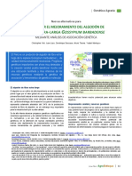 Nuevas Alternativas para Dinamizar El Mejoramiento Del Algodón de Fibra Extra-Larga G. Barbadense Mediante Análisis de Asociación Genética