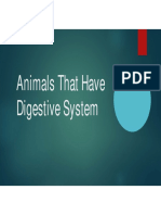 Animal Digestive System Humms-11