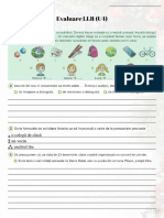 Evaluare LLR U4