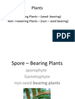 Spore Bearing Plants