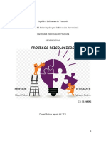 Fabiannys Pacheco - Procesos Psicologicos