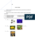 Chapter 3 Lesson 2 Algae