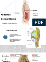 Estructuras del mediastino y abdomen