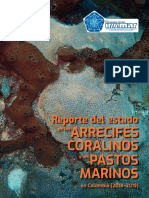 Corales y Pastos 2018-2019C