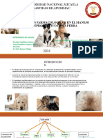 Aspectos Farmacologicos en El Manejo Reproductivo de La Perra Ppt. Exposición