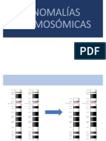 Anomalias Cromosomicas