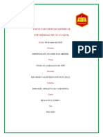 Niveles de Condensación Del ADN DG