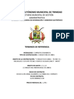 Consultoría técnica para soporte edificio Bolívar Gobierno Autónomo Municipal de Trinidad