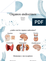 Organos Endocrinos