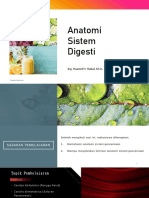 Anatomi Sistem Digesti 2022