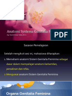 Anatomi Systema Genitalia Feminina 2022