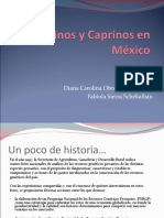 11 Ovinos y Caprinos en México