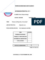 LabOratorio de Mecanica de Fluidos1 - Reynolds y Viscosidad Lizita (Ex 1 y 2)