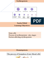 Lec 5 Hematology Erythropoiesis