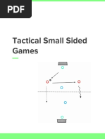 Tactical Small Sided Games