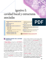 Ross Histologia Texto y Atlas 7a Ed-Páginas-453-494,587-768