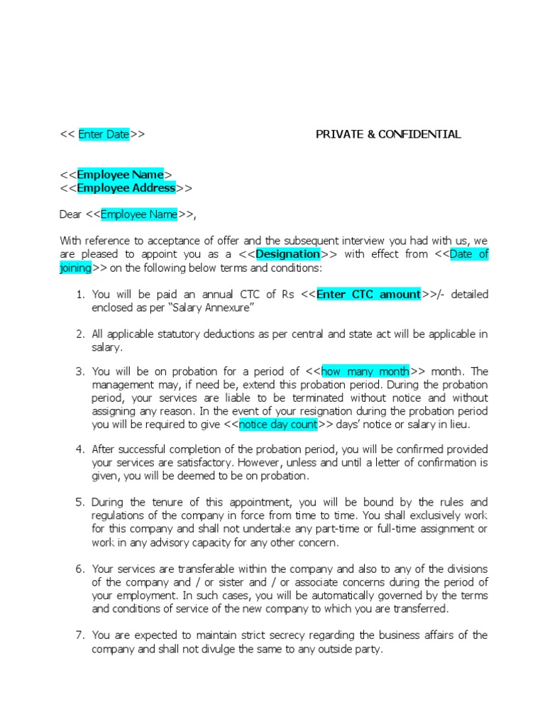 Simple Appointment Letter Format PDF Employment Confidentiality