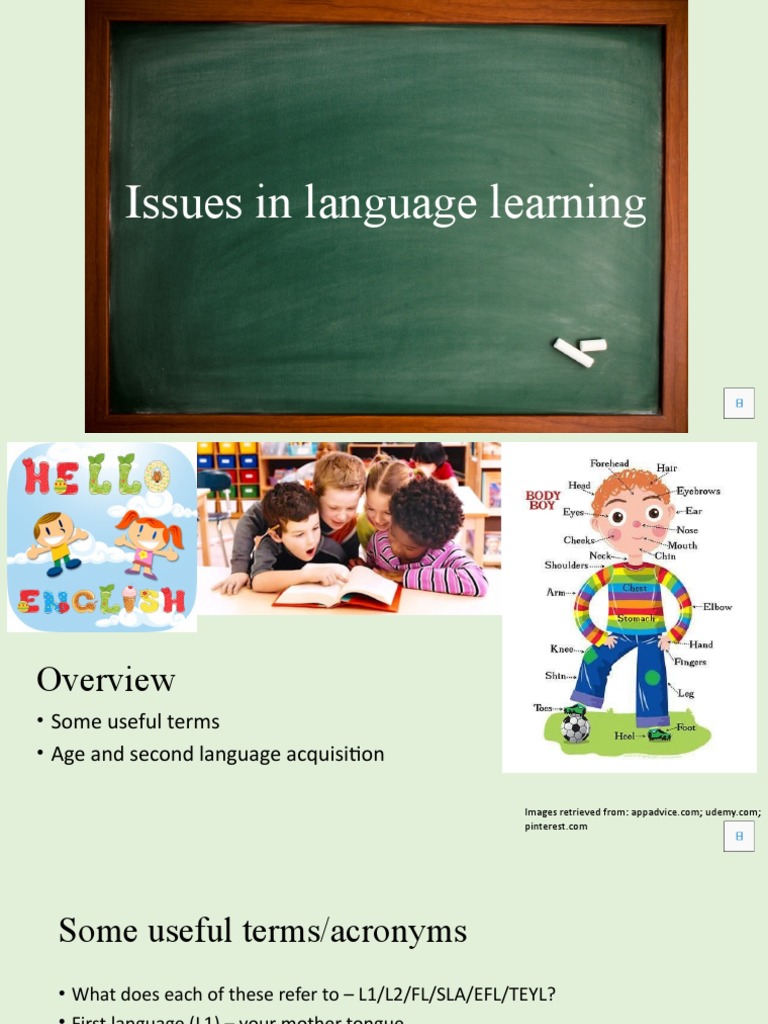 Language Learning Issues Explained | PDF | English As A Second Or ...