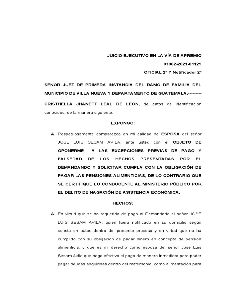 Juicio Ejecutivo en La Vía de Apremio Solicitud de Que Se Certifique Lo