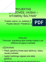 Projektas Darzoves Veisiai Vitaminu Saltinis.