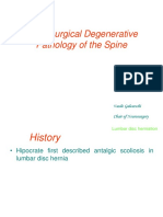 Neurosurgical Degenerative Pathology of the Spine