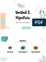 Bloque 3 Hipófisis