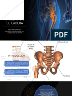 Clase 6 - Evaluación de Cadera