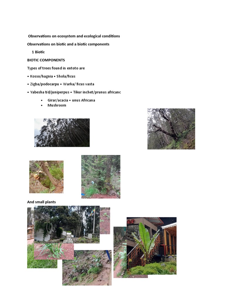 Environment | PDF | Ecosystem | Natural Environment