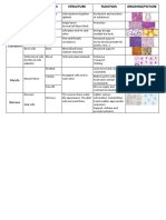 4.tissue Table - Answer Key Con Dibujos