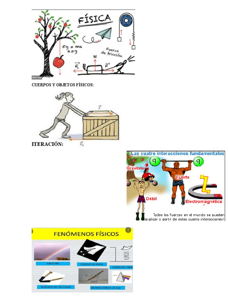 Cuerpos y Objetos Físicos | PDF