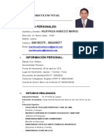 Curriculum Vitae Mario Huayhua