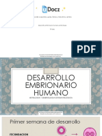 Desarrollo Embrionario Humano Embriologia 274619 Downloable 741118