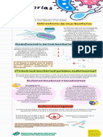 Infografia Bacterias