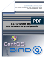 Guía Instalacion - Servidor - DNS