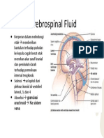 Cerebrospinal Fluid
