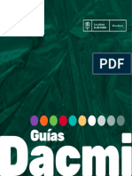 Guias DACMI 30-06-2022