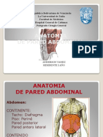 Anatomia de Pared Abdominal Anderson Yanez - origINAL 1