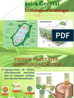 Cap 2.2. Botanica Gral. Citología e Histología-III 2020-I Im